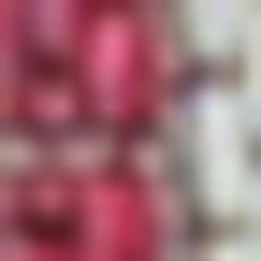 10' Fuchsia And Light Gray Geometric Indoor Outdoor Runner Rug Photo 2