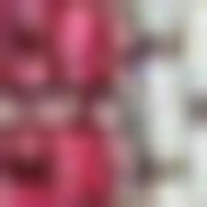 8' Fuchsia And Light Gray Geometric Indoor Outdoor Runner Rug Photo 2