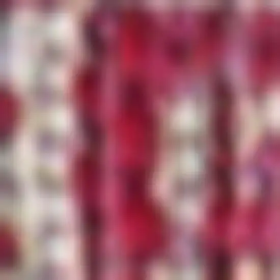 10' Fuchsia And Light Gray Medallion Indoor Outdoor Runner Rug Photo 3