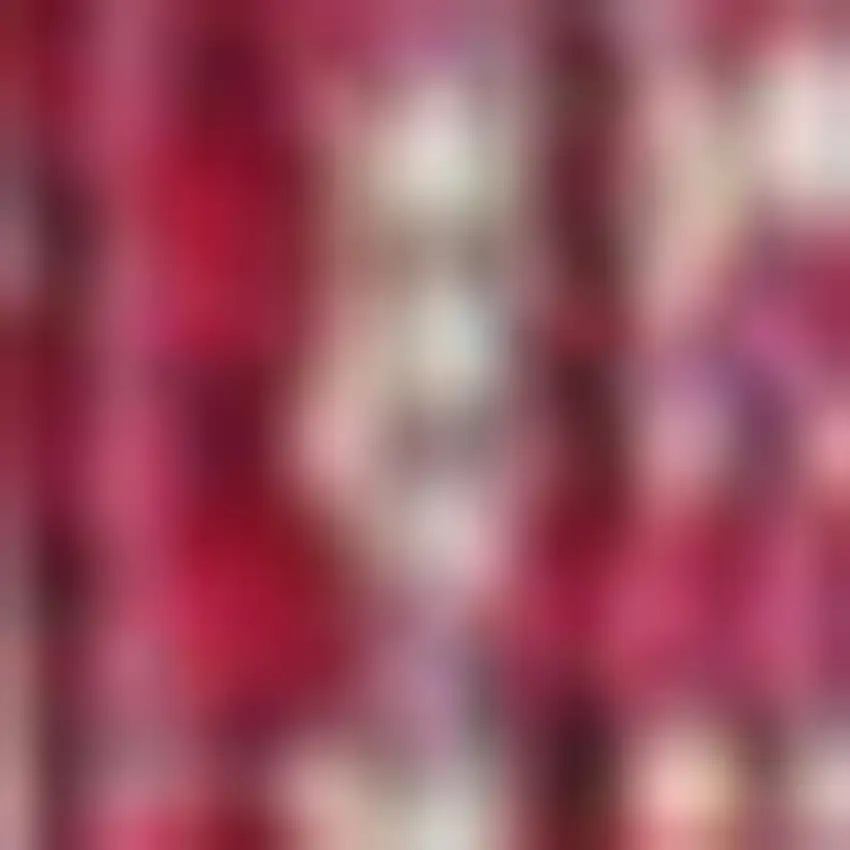 10' Fuchsia And Light Gray Medallion Indoor Outdoor Runner Rug Photo 2