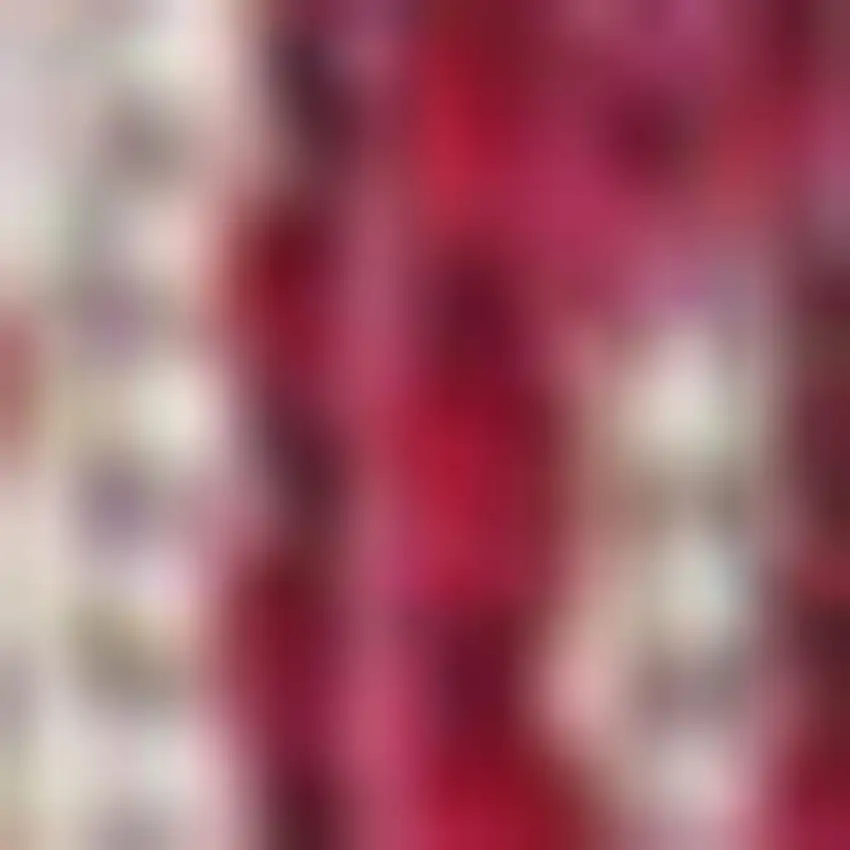 8' Fuchsia And Light Gray Medallion Indoor Outdoor Runner Rug Photo 2