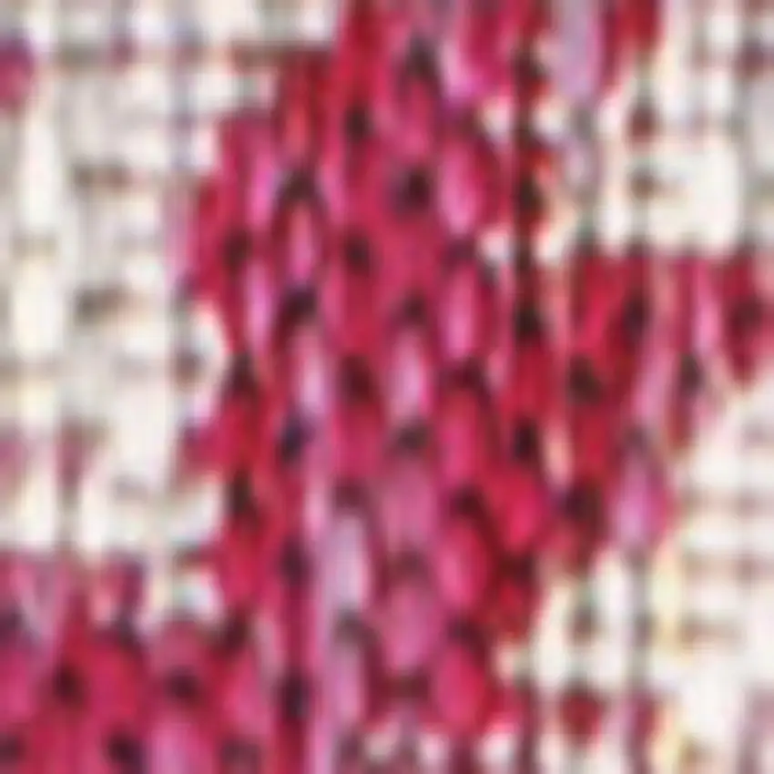 10' Fuchsia And Light Gray Medallion Indoor Outdoor Runner Rug Photo 2