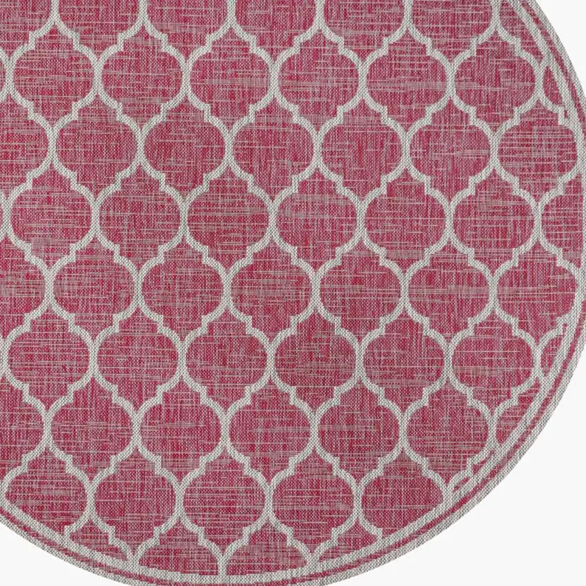 5' Fuchsia And Light Gray Round Geometric Indoor Outdoor Area Rug Photo 2