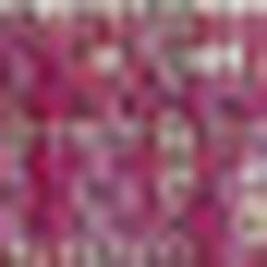 5' Fuchsia And Light Gray Square Medallion Indoor Outdoor Area Rug Photo 3