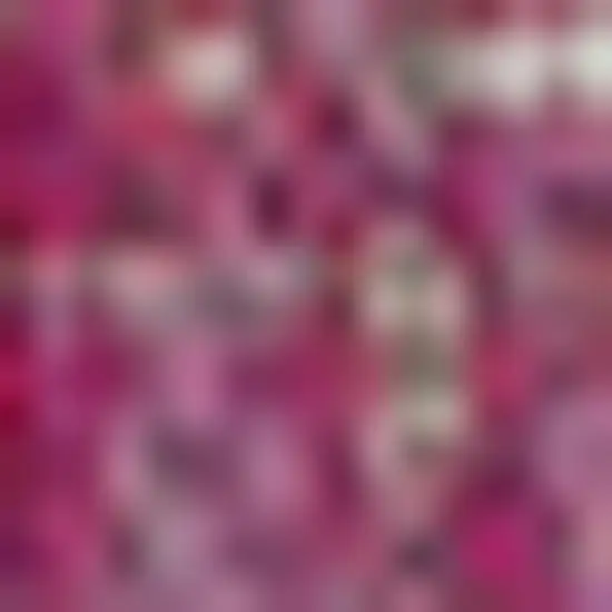 5' Fuchsia And Light Gray Square Medallion Indoor Outdoor Area Rug Photo 2