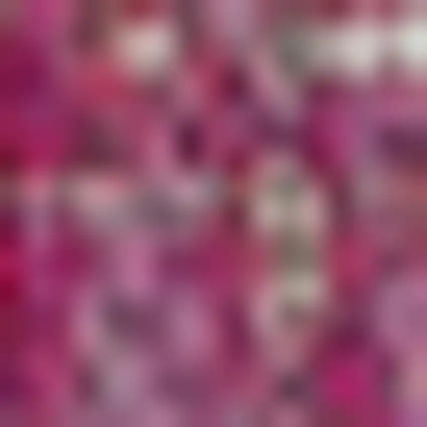 5' Fuchsia And Light Gray Square Medallion Indoor Outdoor Area Rug Photo 2