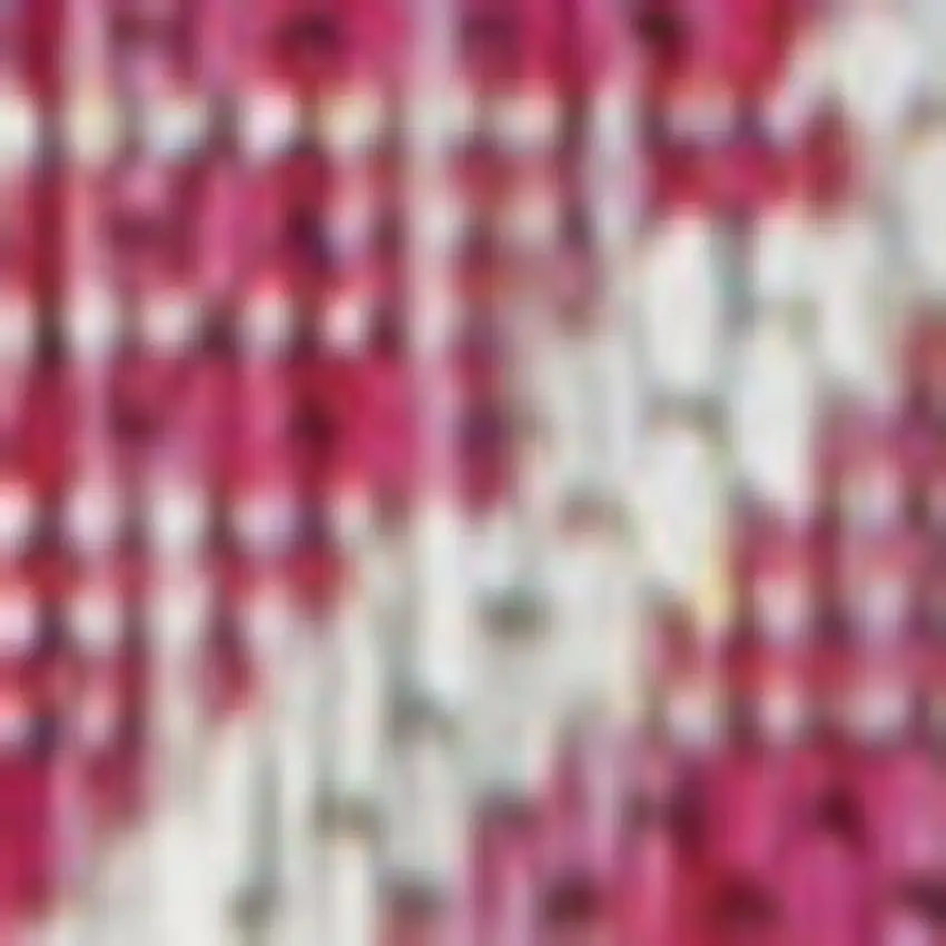 10' Fuchsia And Light Gray Trellis Indoor Outdoor Runner Rug Photo 2