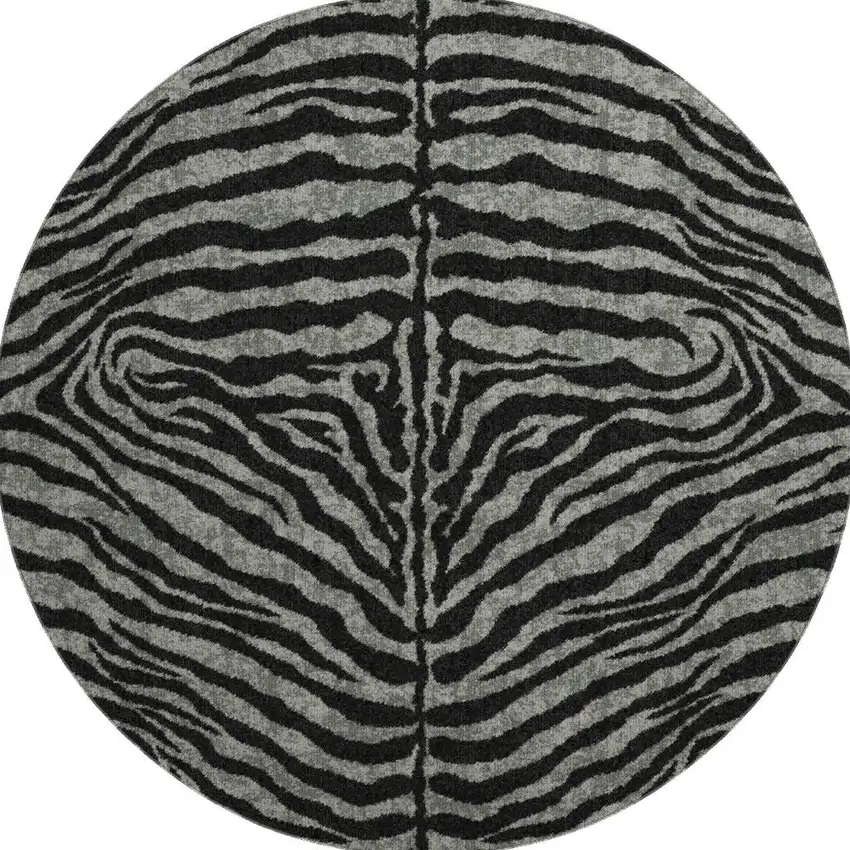 8' Graphite And Black Round Zebra Print Washable Indoor Outdoor Area Rug Photo 4