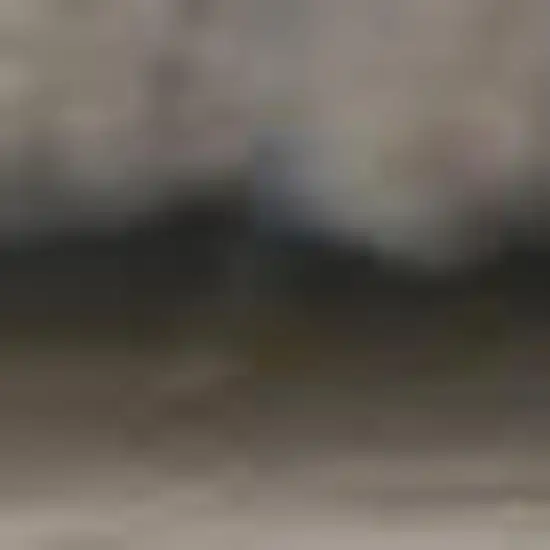 12' Gray And Black Abstract Runner Rug Photo 8