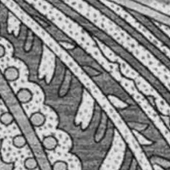 8' Gray And Ivory Paisley Washable Round Rug With UV Protection Photo 4