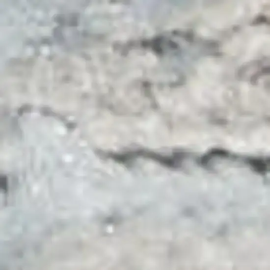 7' Gray Floral Power Loom Runner Rug Photo 4