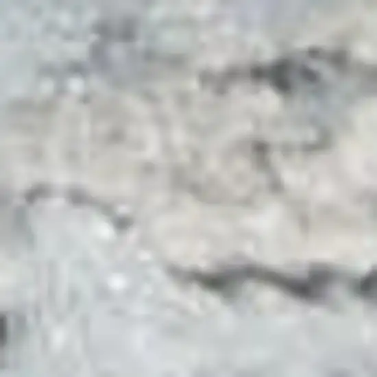 7' Gray Floral Power Loom Runner Rug Photo 3