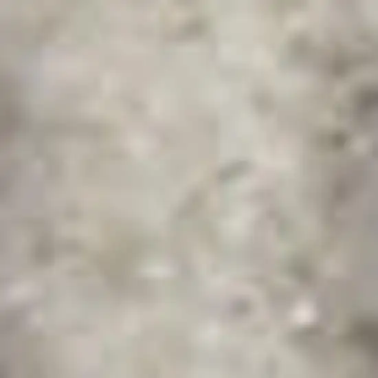 7' Gray Floral Power Loom Runner Rug Photo 1