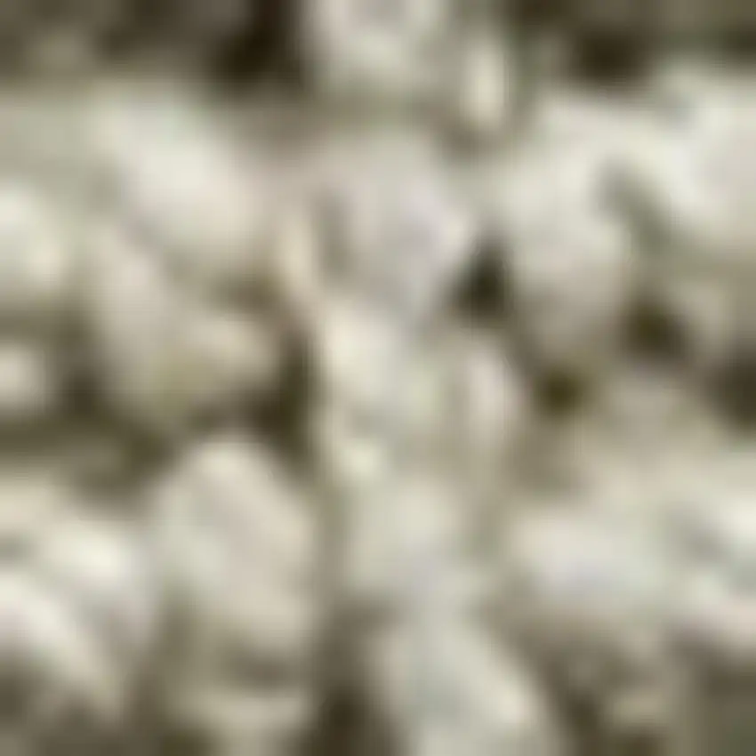 5' Gray Jute Handmade Square Rug Photo 2