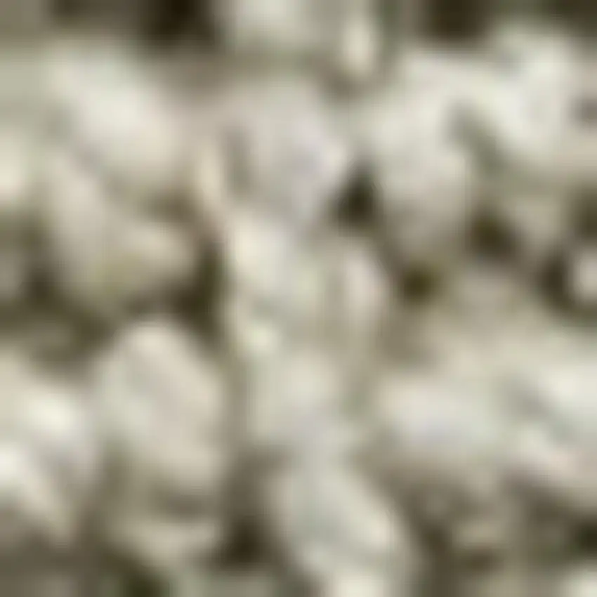 6' Gray Jute Handmade Square Rug Photo 2