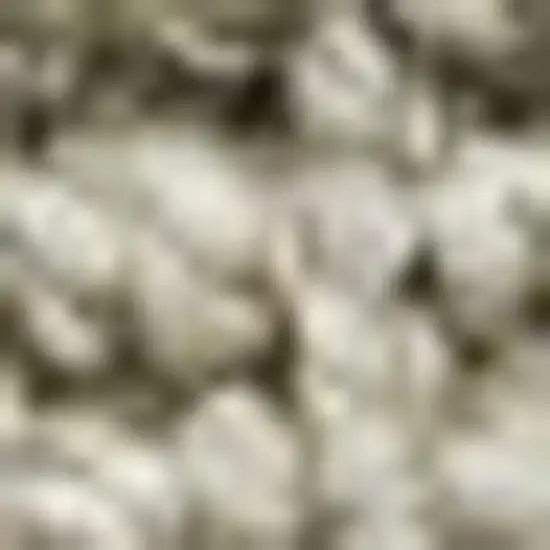 7' Gray Jute Handmade Square Rug Photo 2