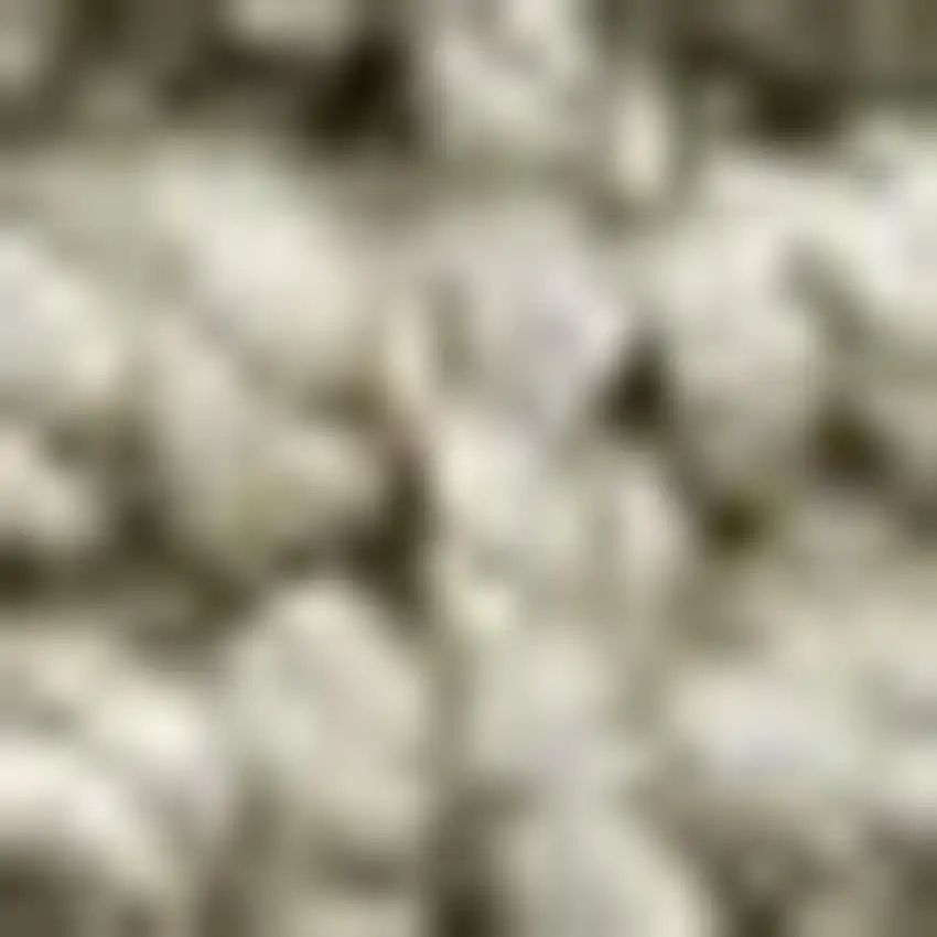 9' Gray Jute Handmade Square Rug Photo 2