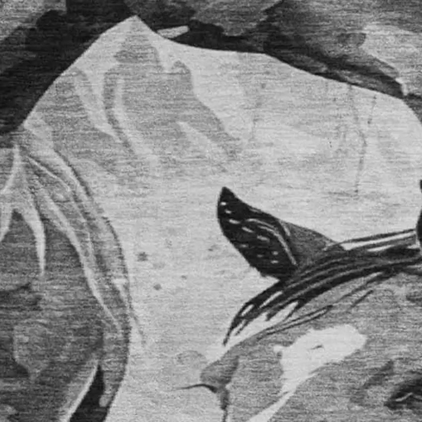 8' Gray Silver And Charcoal Animal Print Washable Round Rug With UV Protection Photo 3