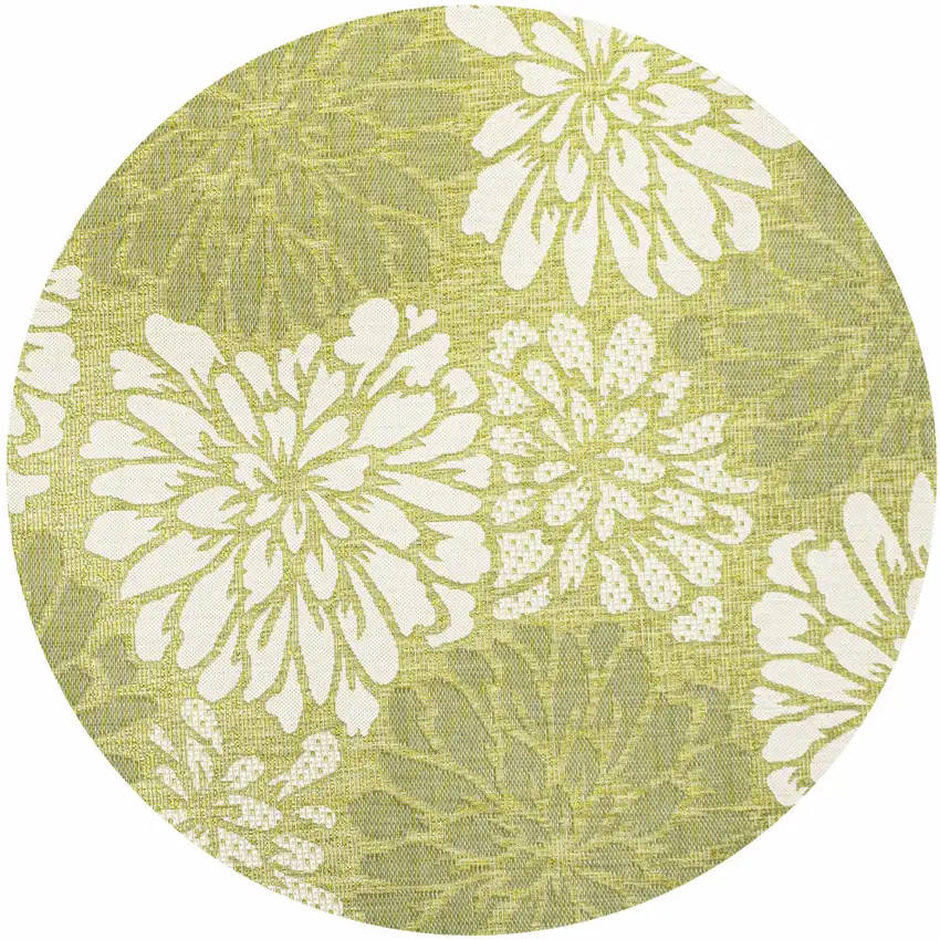 5' Green And Cream Round Floral Indoor Outdoor Area Rug Photo 1