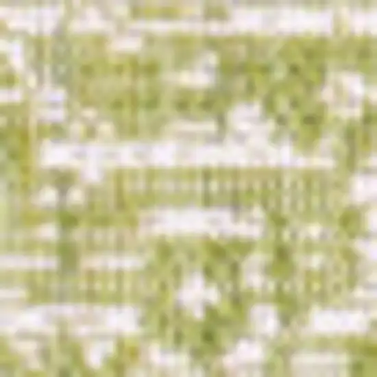 5' Green And Cream Square Medallion Indoor Outdoor Area Rug Photo 3