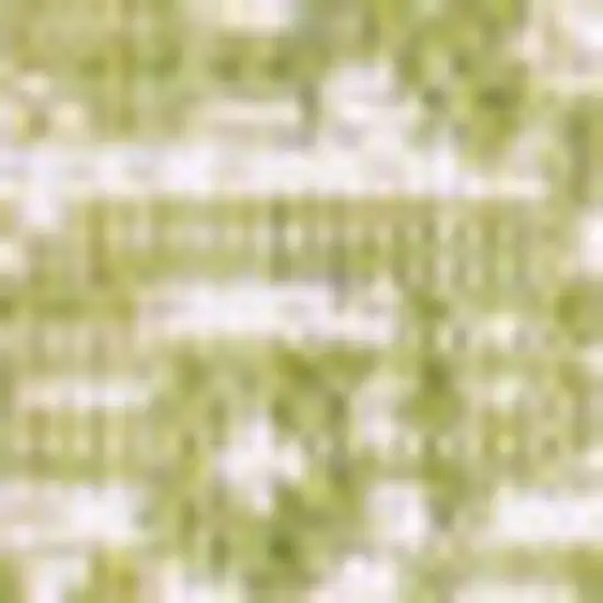 5' Green And Cream Square Medallion Indoor Outdoor Area Rug Photo 2