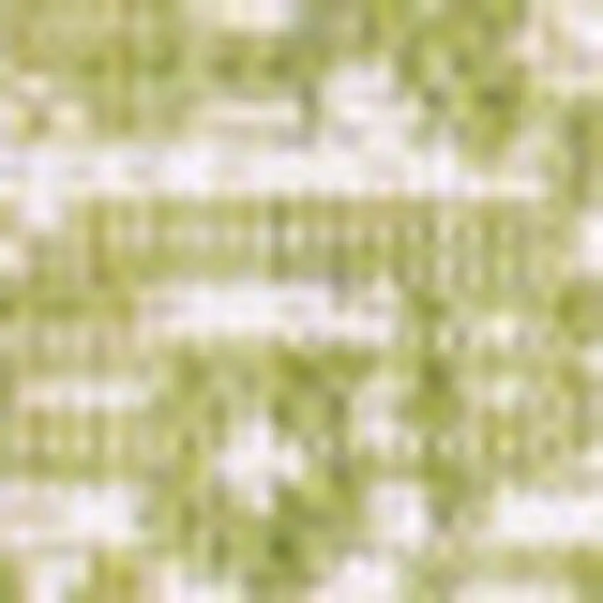 5' Green And Cream Square Medallion Indoor Outdoor Area Rug Photo 2