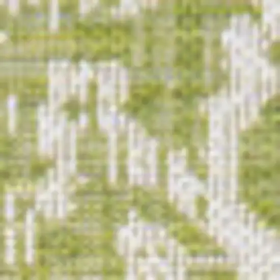 5' Green And Cream Square Medallion Indoor Outdoor Area Rug Photo 2