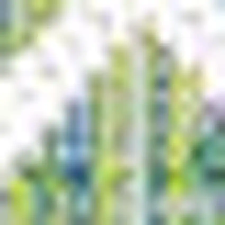 5' Green And Cream Square Trellis Indoor Outdoor Area Rug Photo 2