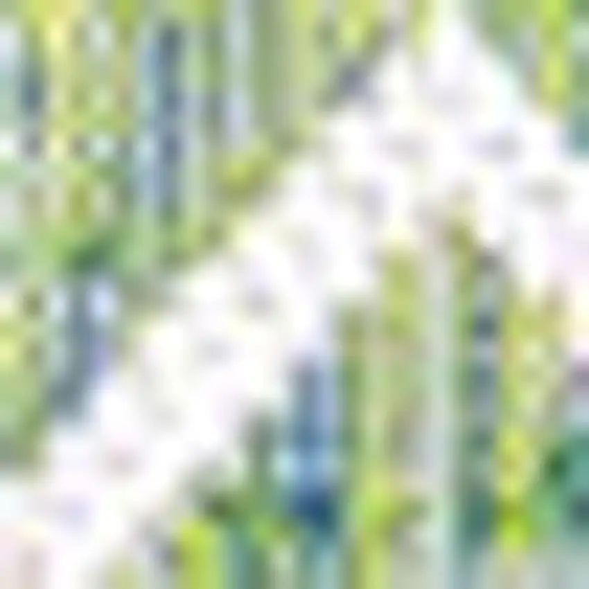 5' Green And Cream Square Trellis Indoor Outdoor Area Rug Photo 3