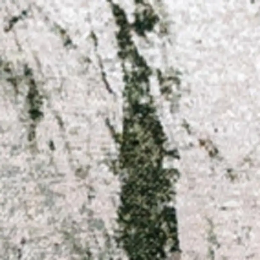 8' Green And White Abstract Washable Round Rug With UV Protection Photo 3