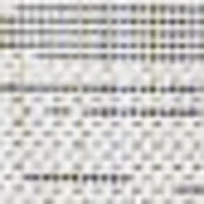 4' Ivory And Black Square Striped Indoor Outdoor Area Rug Photo 2