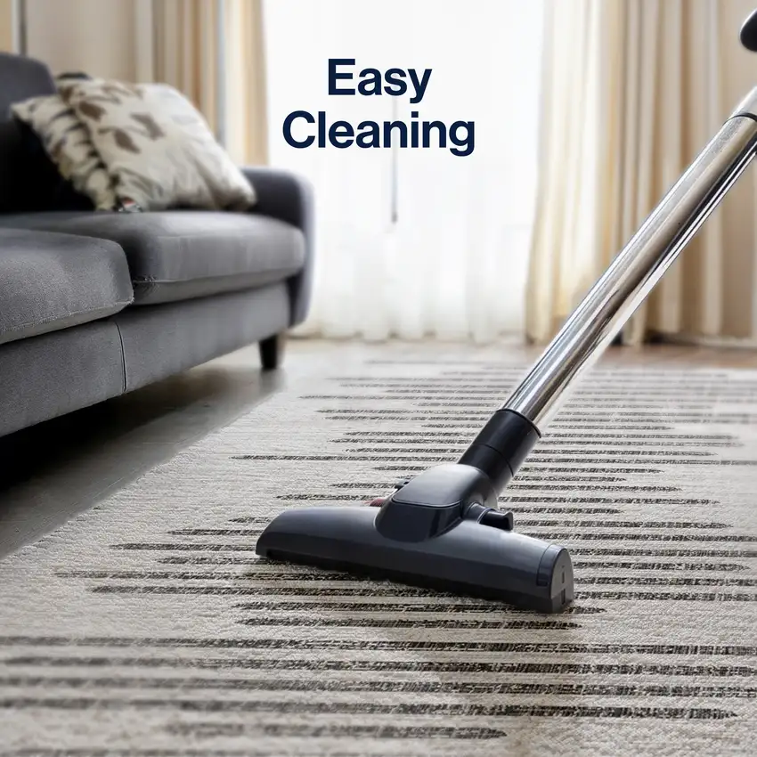 4' Ivory And Black Square Striped Indoor Outdoor Area Rug Photo 5