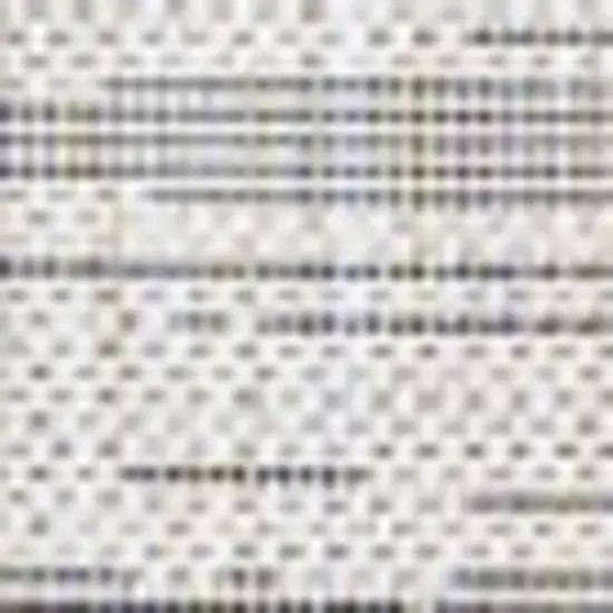 4' Ivory And Black Square Striped Indoor Outdoor Area Rug Photo 3