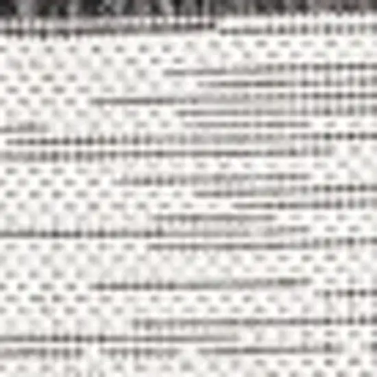 4' Ivory And Black Square Striped Indoor Outdoor Area Rug Photo 2