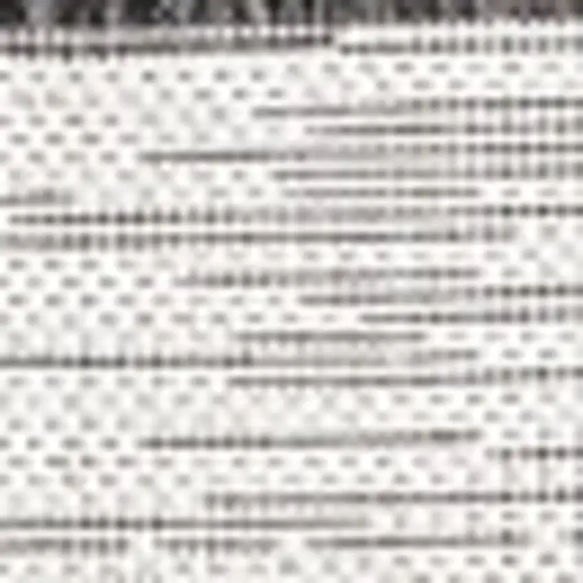 4' Ivory And Black Square Striped Indoor Outdoor Area Rug Photo 2