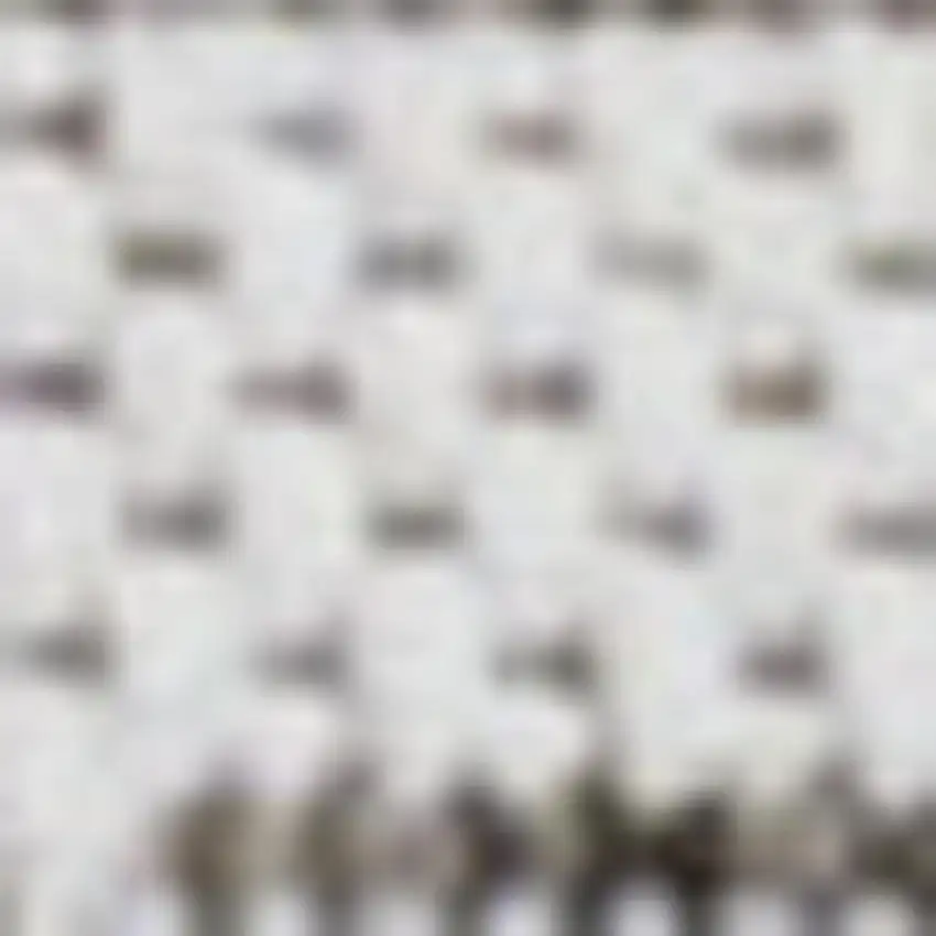 10' Ivory And Black Striped Indoor Outdoor Runner Rug Photo 4