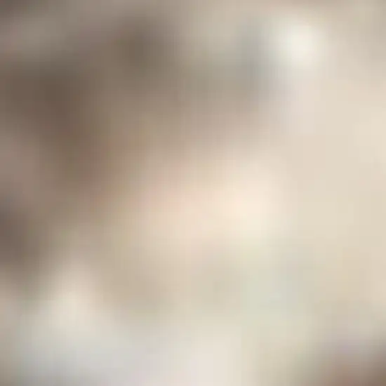 7' Ivory And Navy Blue Floral Medallion Distressed Runner Rug Photo 3