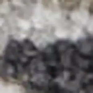 Photo of 10' Ivory And Slate Gray Oriental Distressed Runner Rug With Fringe