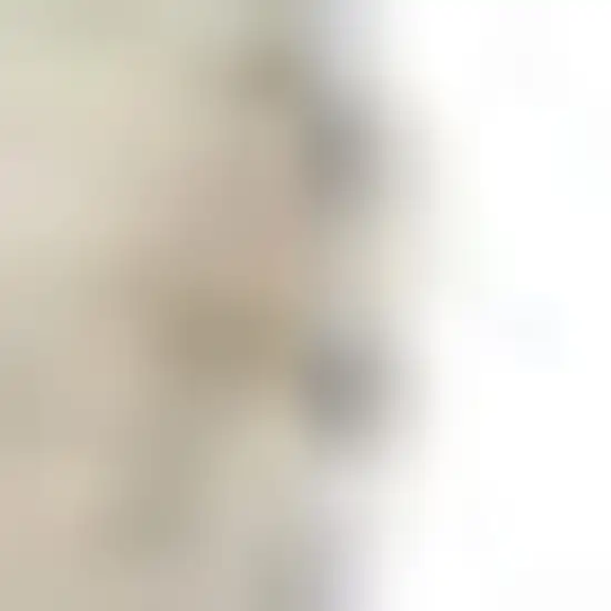 7' Ivory And Turquoise Botanical Leaves Runner Rug Photo 6