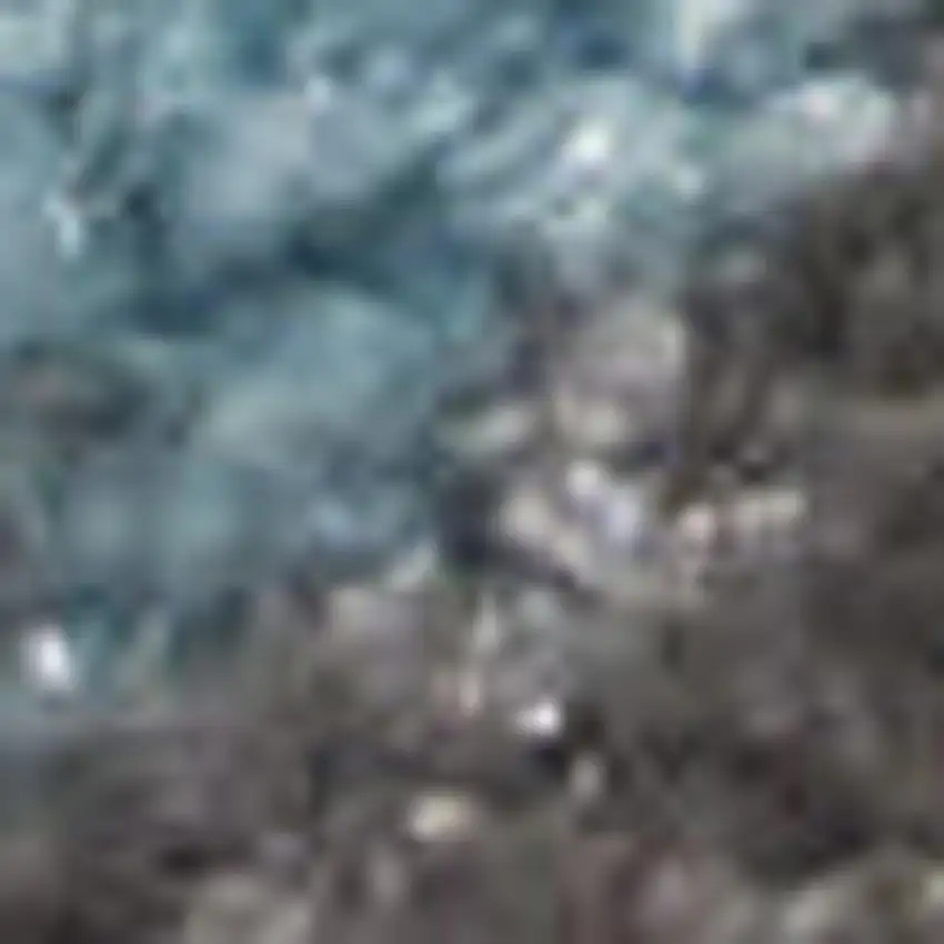 7' Ivory And Turquoise Botanical Leaves Runner Rug Photo 2