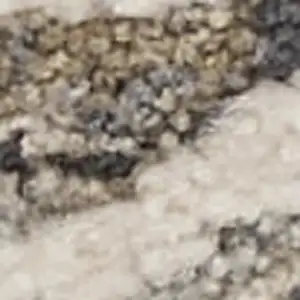 Photo of 10' Ivory Black And Taupe Medallion Distressed Runner Rug With Fringe