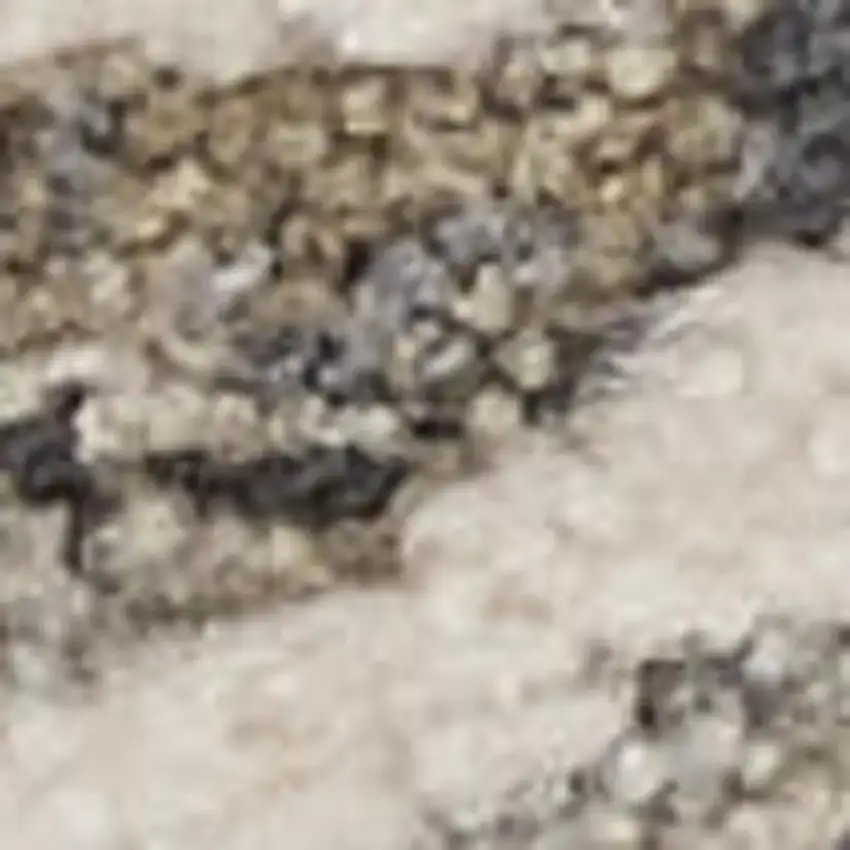 12' Ivory Black And Taupe Medallion Distressed Runner Rug With Fringe Photo 2