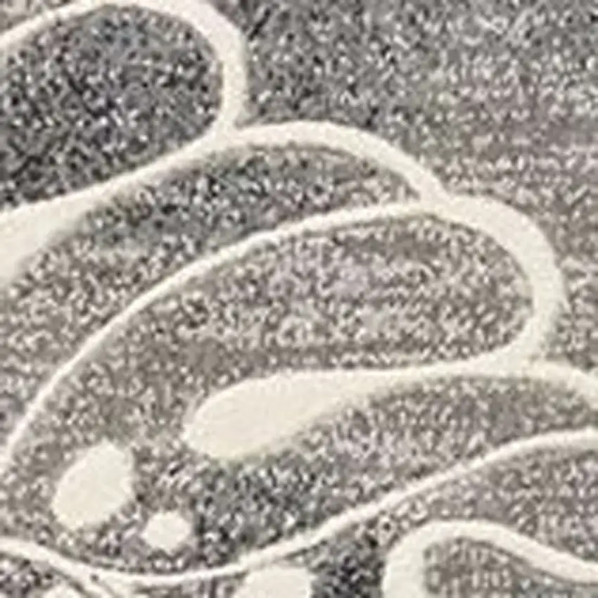 8' Ivory Black and Gray Floral Non Skid Runner Rug Photo 5