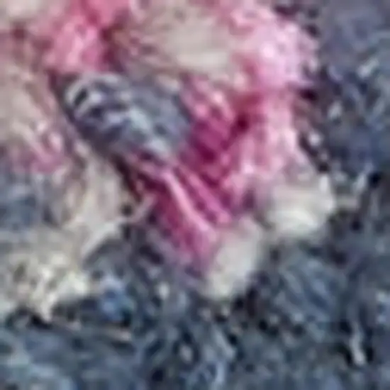 8' Ivory Blue And Yellow Abstract Square Rug Photo 2