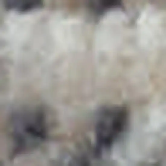 6' Ivory Brown And Gray Floral Distressed Runner Rug Photo 3