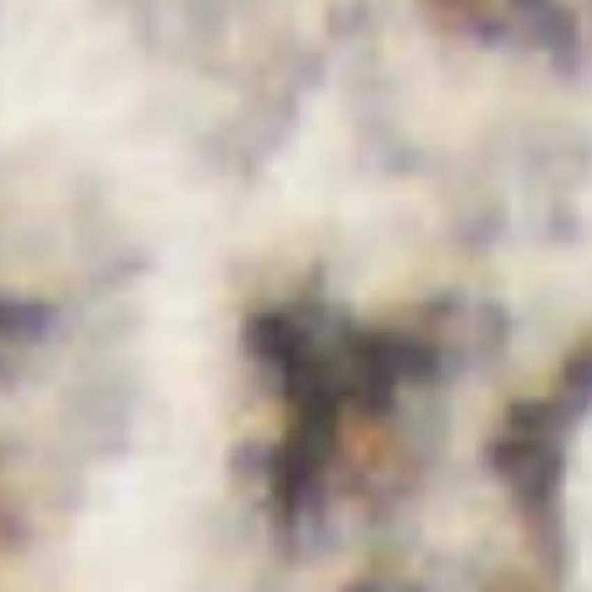 8' Ivory Brown And Gray Floral Runner Rug Photo 3