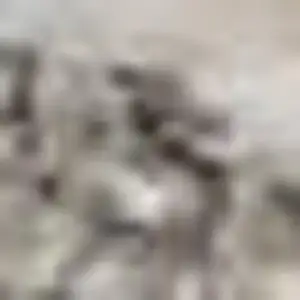 Photo of 12' Ivory Brown And Gray Geometric Distressed Runner Rug With Fringe