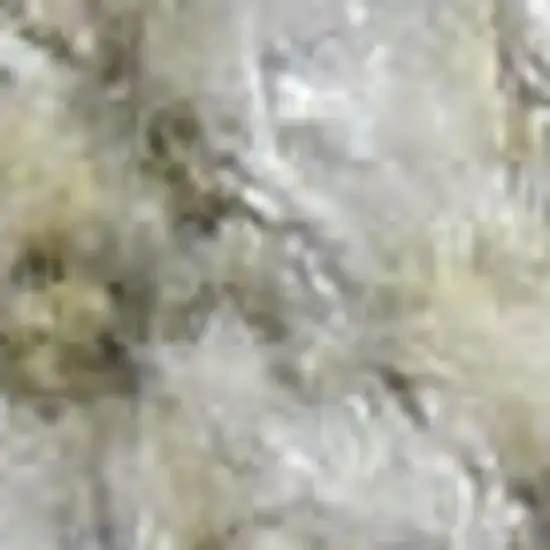 8' Ivory Floral Power Loom Worn Faded Runner Rug Photo 3