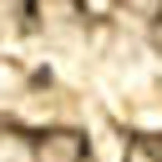 8' Ivory Jute Handmade Runner Rug Photo 3