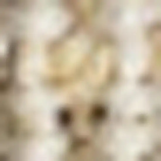 5' Ivory Jute Handmade Square Rug Photo 3